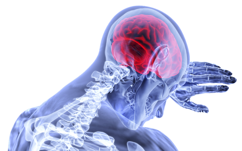 Jakými věcmi nejvíce škodíme mozku?